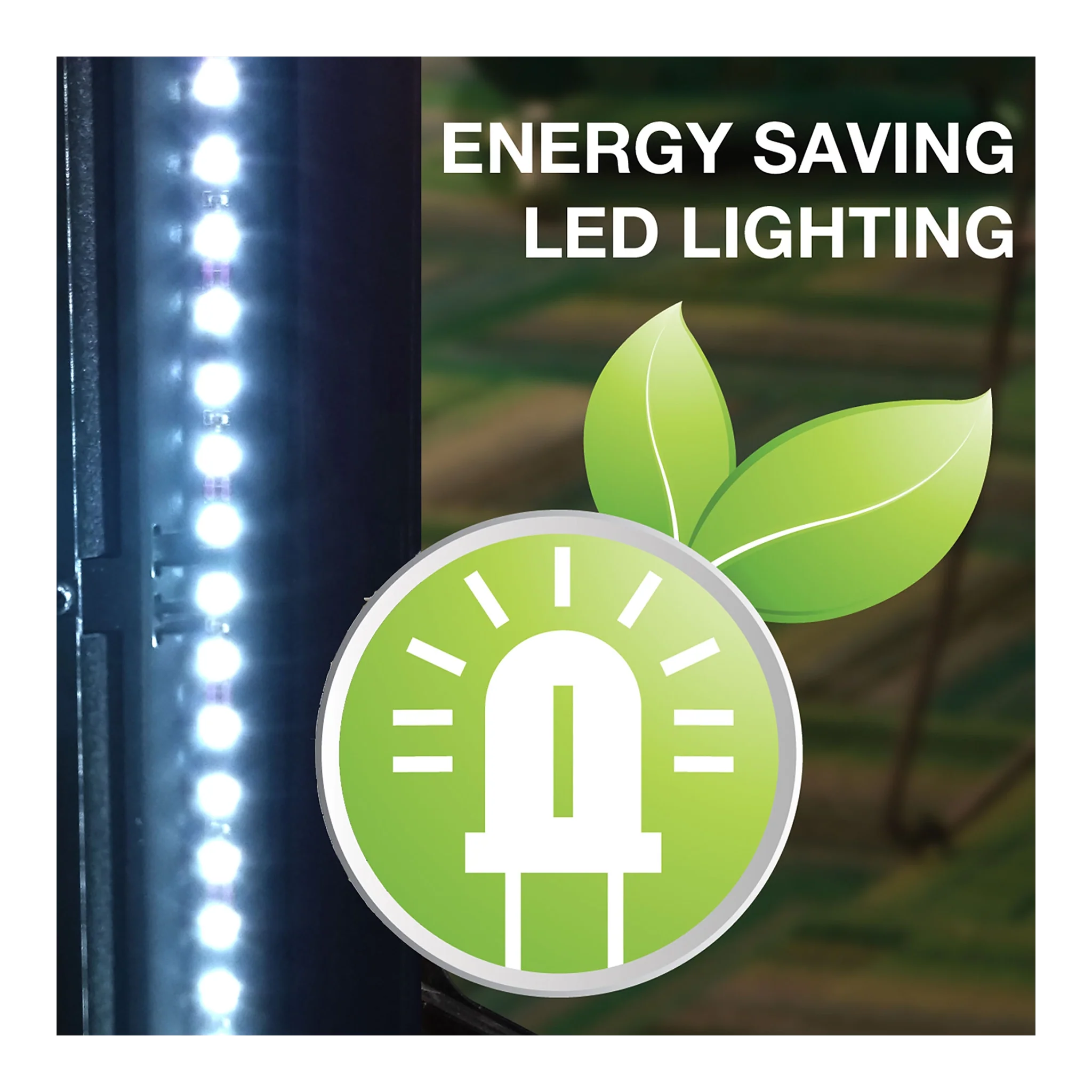 led light